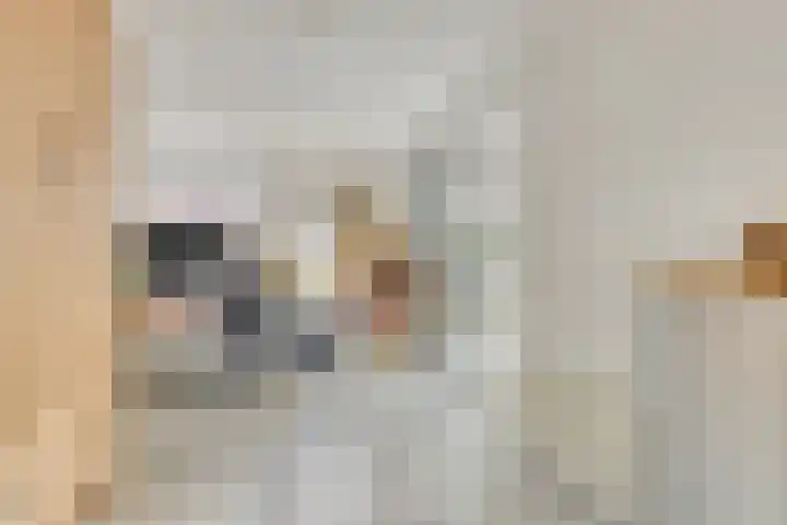 Burgemeester Van Altenastraat 6 Tiel thumbnail 24