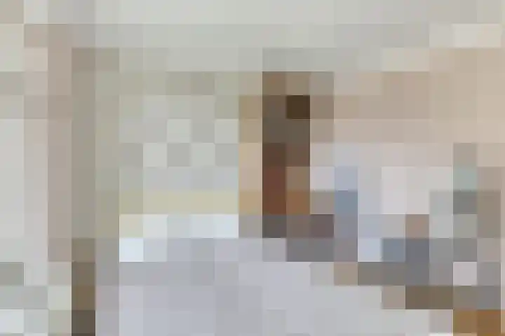 Burgemeester Van Altenastraat 6 Tiel thumbnail 30