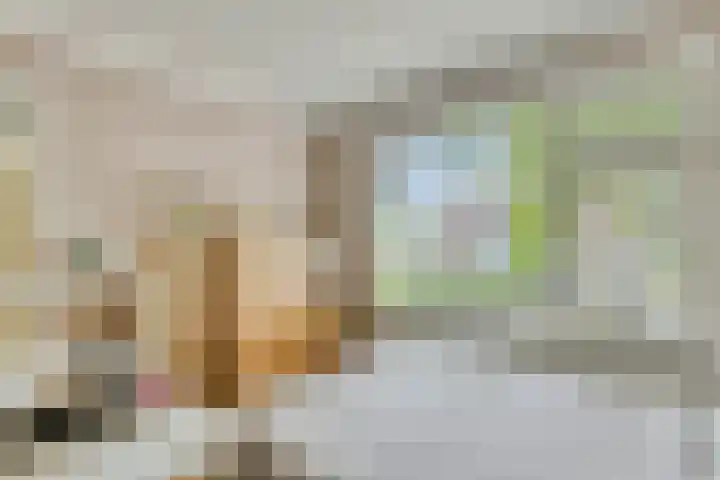 Burgemeester Van Altenastraat 6 Tiel thumbnail 31
