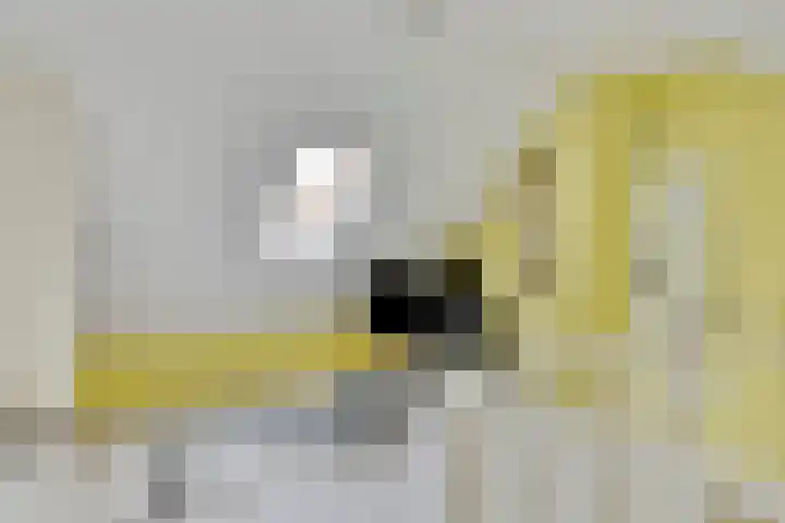 Burgemeester Van Altenastraat 6 Tiel thumbnail 39