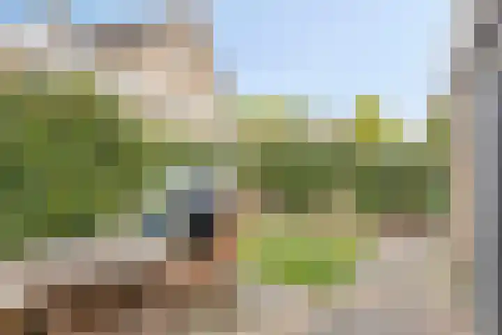 Burgemeester Van Altenastraat 6 Tiel thumbnail 42