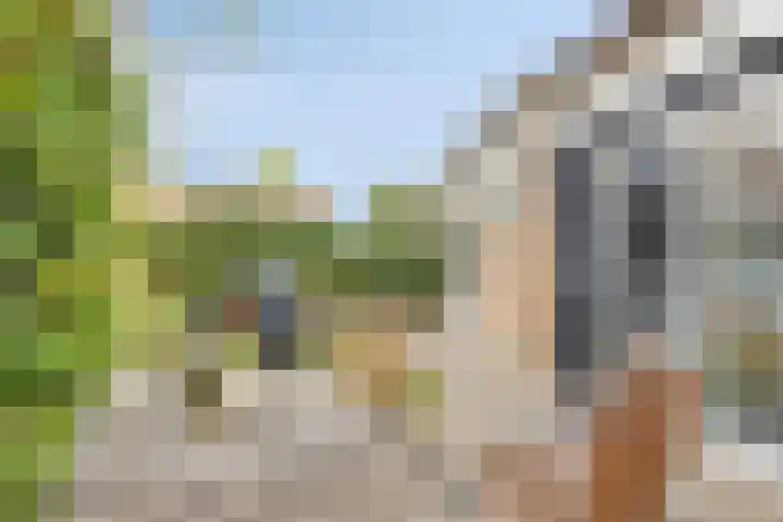Burgemeester Van Altenastraat 6 Tiel thumbnail 43