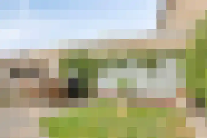 Burgemeester Van Altenastraat 6 Tiel thumbnail 44