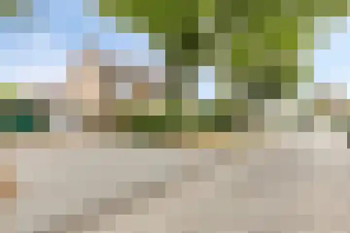 Burgemeester Van Altenastraat 6 Tiel thumbnail 5