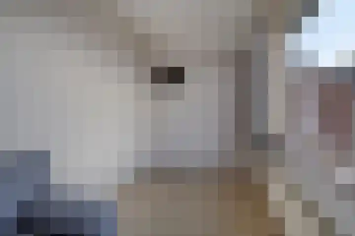 Burgemeester van Bakkeneslaan 12 Oude Pekela thumbnail 25