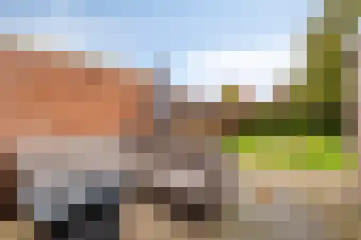 Burgemeester van Bakkeneslaan 12 Oude Pekela thumbnail 26