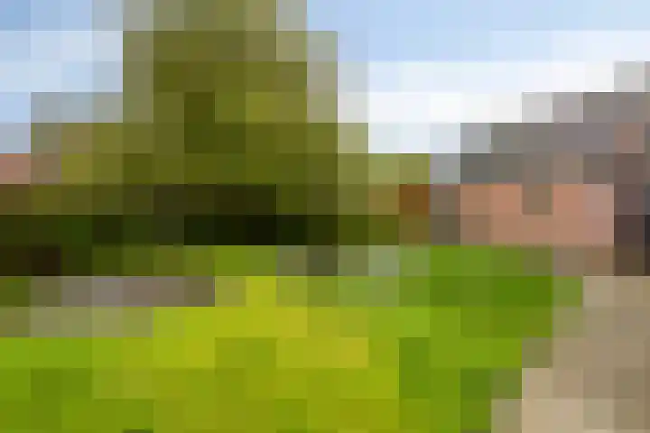 Burgemeester van Bakkeneslaan 12 Oude Pekela thumbnail 27