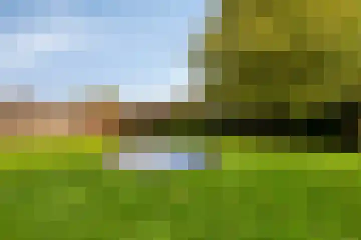 Burgemeester van Bakkeneslaan 12 Oude Pekela thumbnail 28
