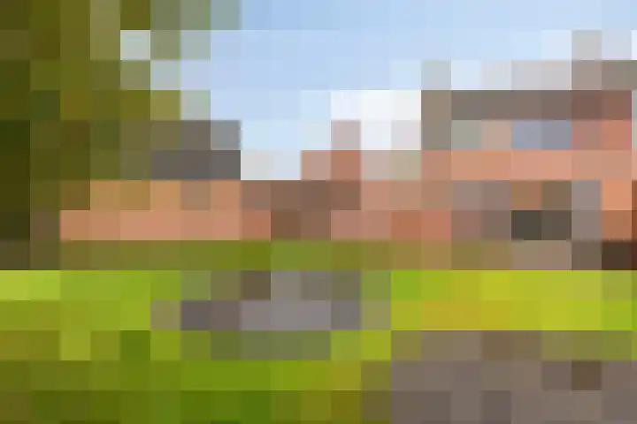 Burgemeester van Bakkeneslaan 12 Oude Pekela thumbnail 29