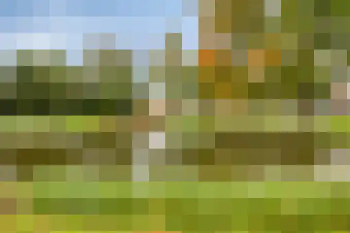 Burgemeester van Bakkeneslaan 12 Oude Pekela thumbnail 32