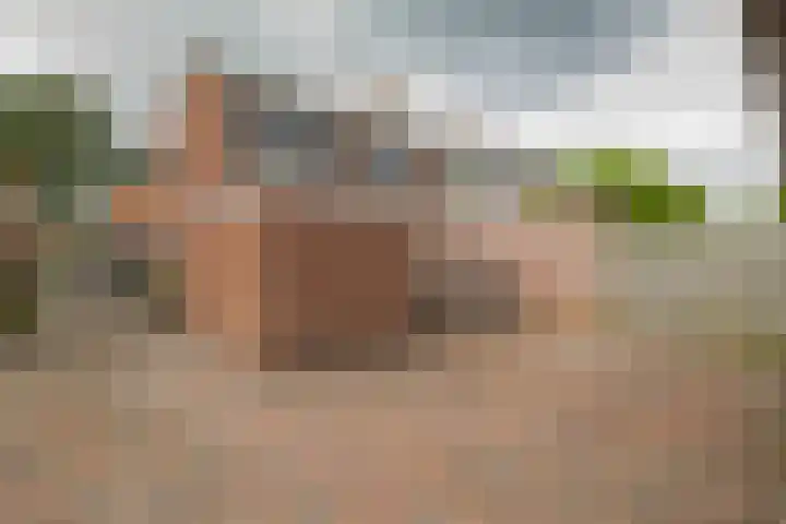 Burgemeester van Bakkeneslaan 26 Oude Pekela thumbnail 21