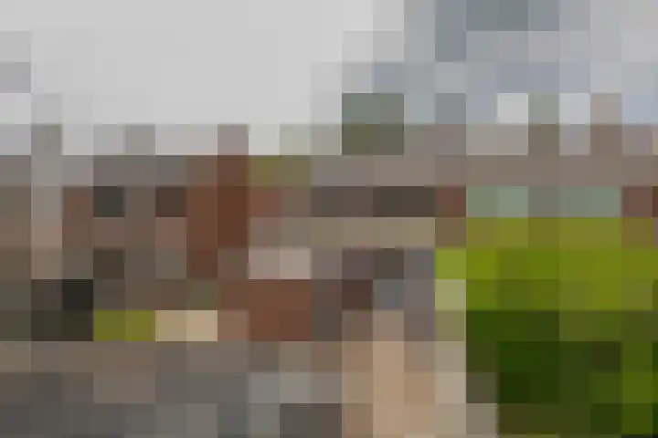 Burgemeester van Bakkeneslaan 26 Oude Pekela thumbnail 24