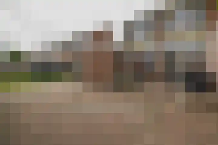 Burgemeester van Bakkeneslaan 26 Oude Pekela thumbnail 25