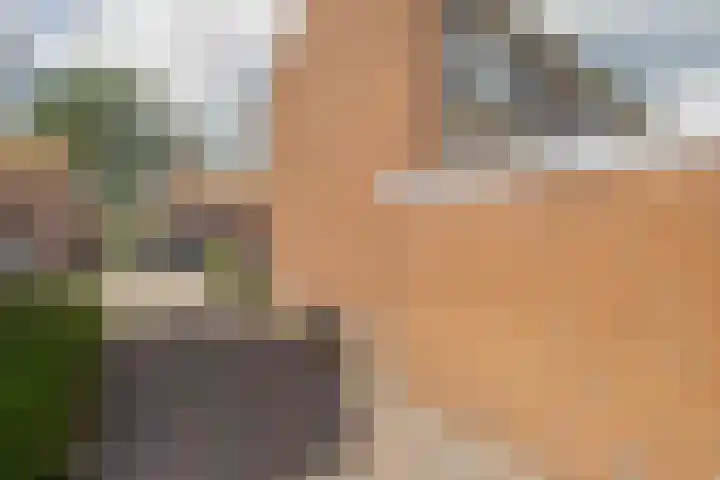 Burgemeester van Bakkeneslaan 26 Oude Pekela thumbnail 27