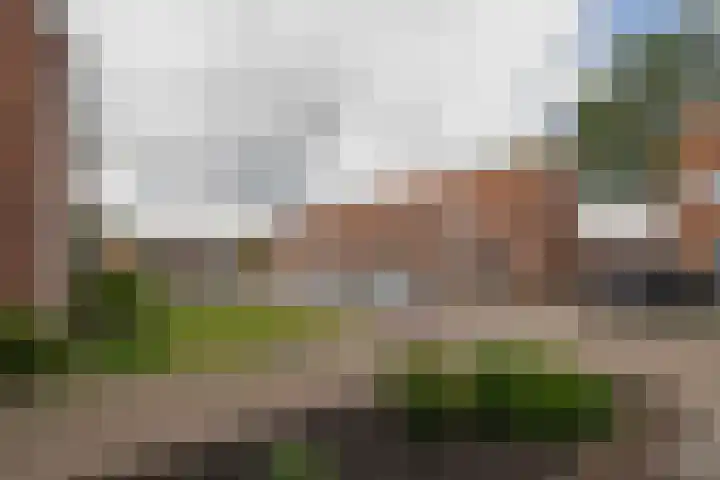 Burgemeester van Bakkeneslaan 26 Oude Pekela foto 3