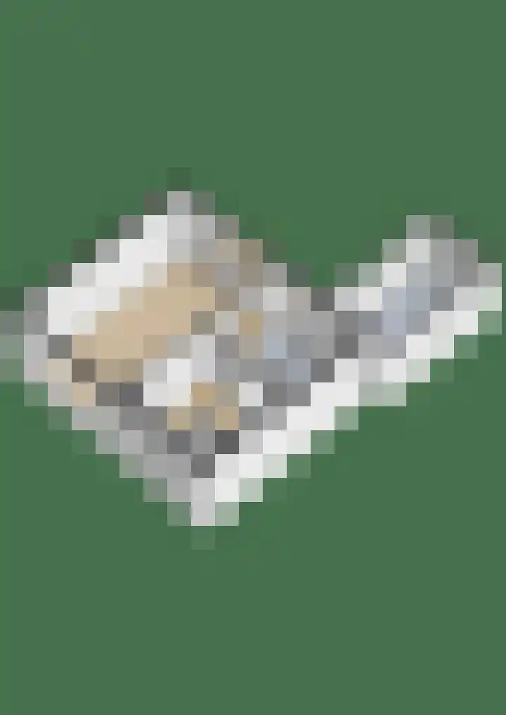 Burgemeester van Bakkeneslaan 26 Oude Pekela thumbnail 30