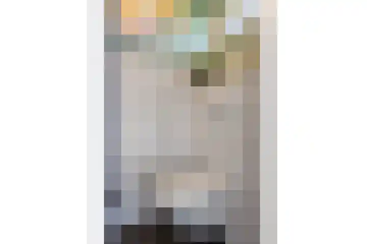 Burgemeester van Beeck Calkoenstraat 1 Cothen thumbnail 7