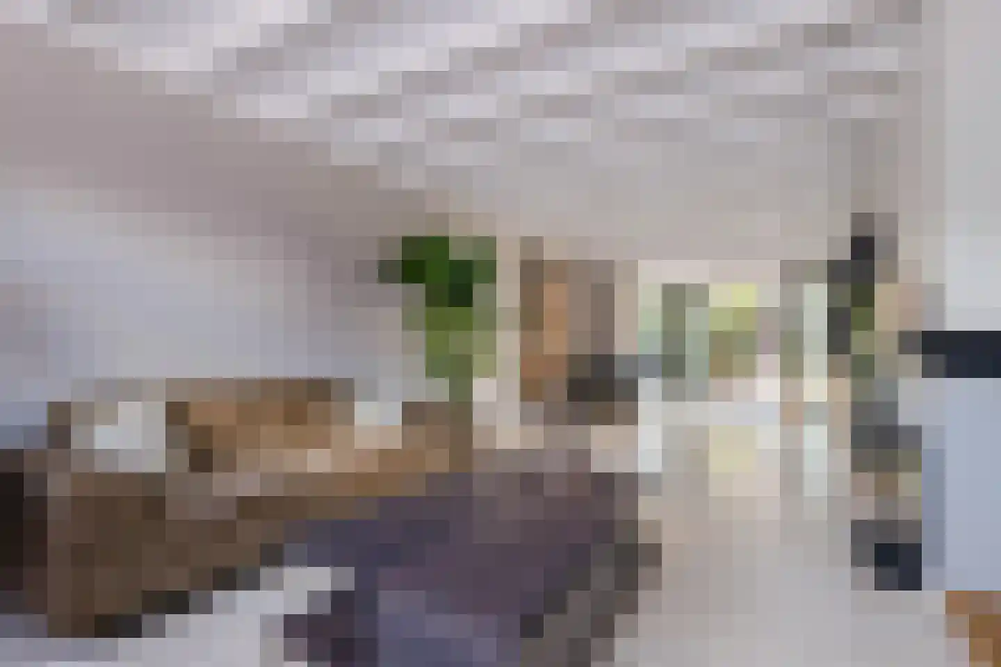 Burgemeester van Beekstraat 12 Deurne thumbnail 17