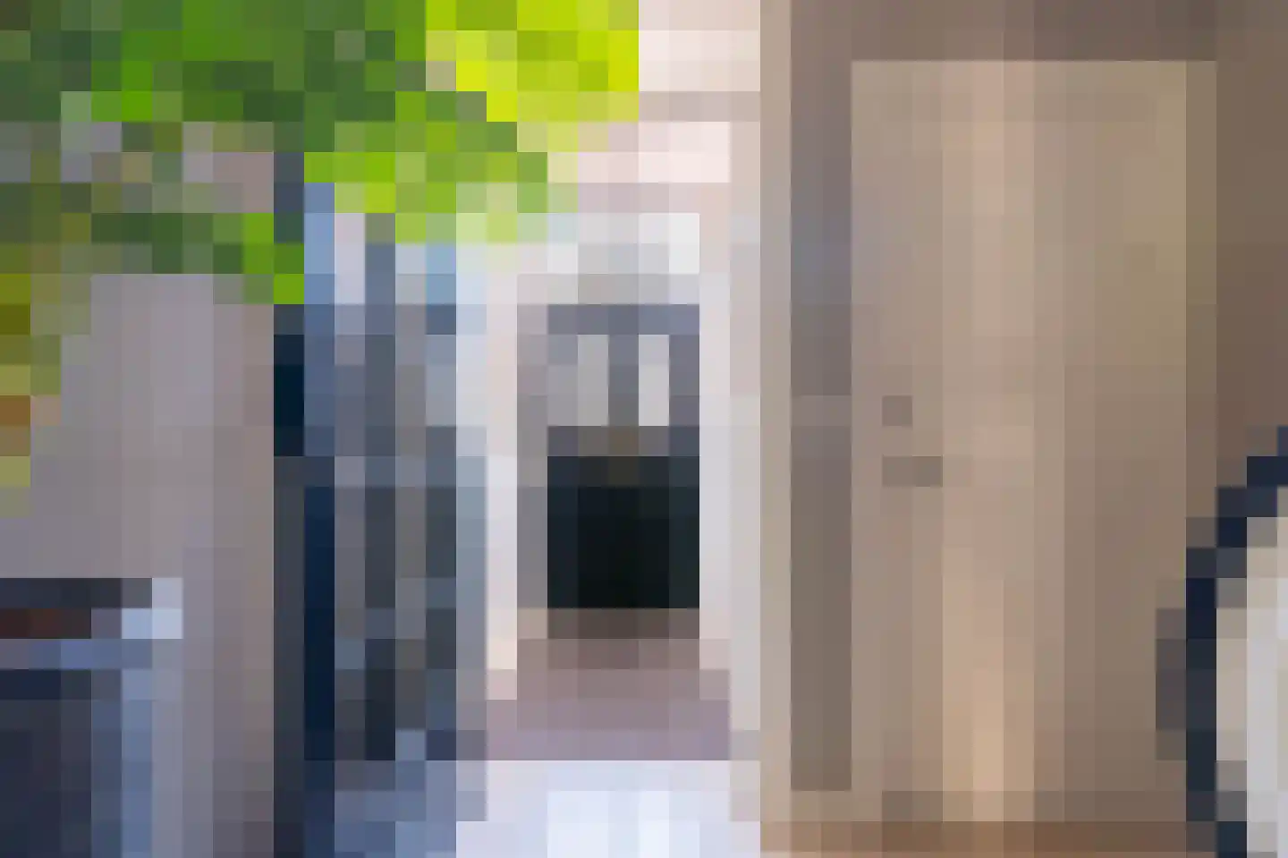 Burgemeester van Beekstraat 12 Deurne thumbnail 6