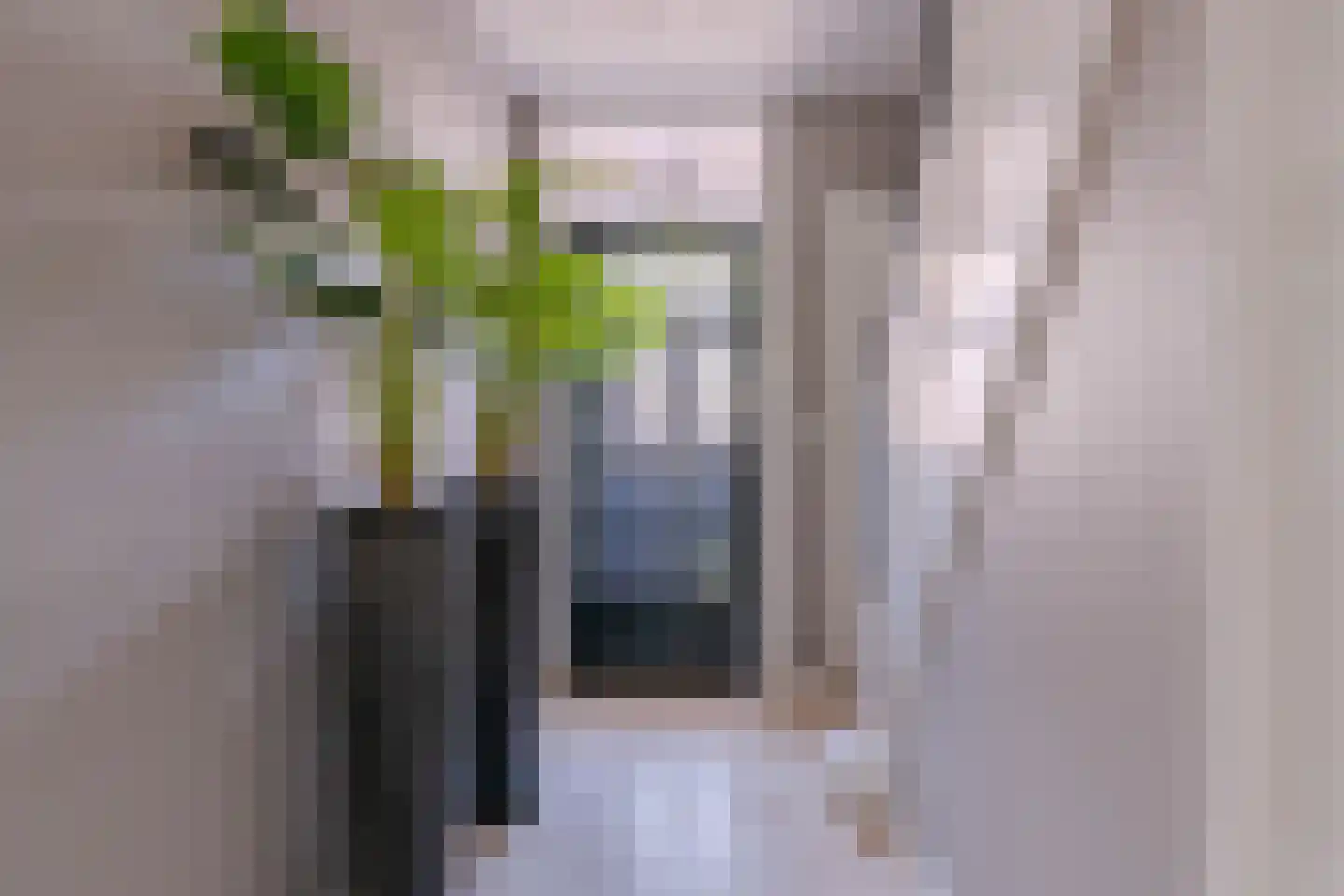 Burgemeester van Beekstraat 12 Deurne thumbnail 7