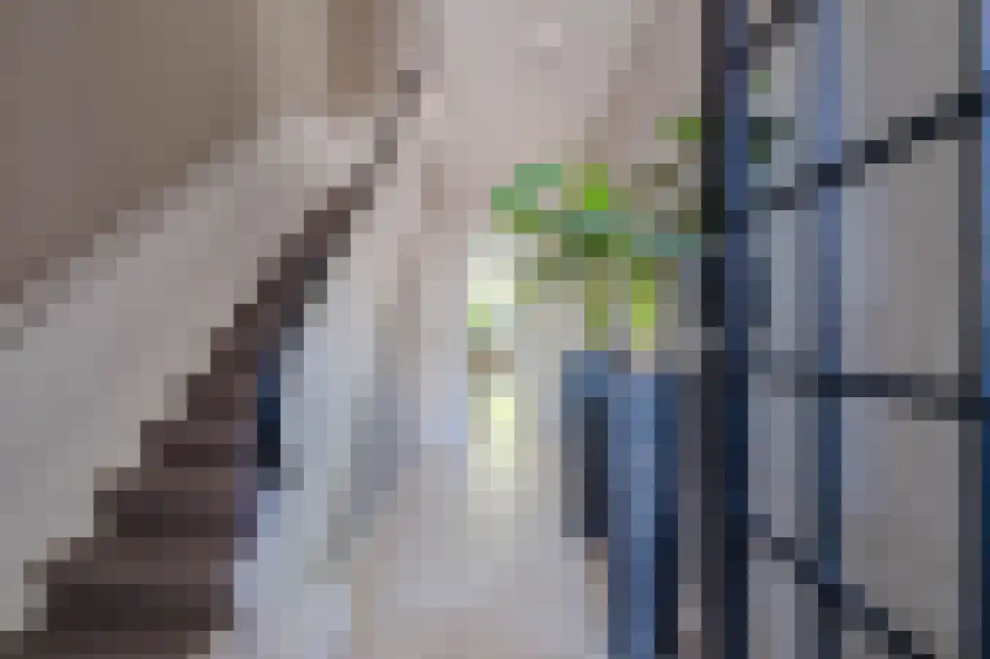 Burgemeester van Beekstraat 12 Deurne thumbnail 8