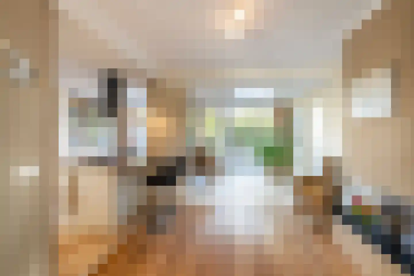 Burgemeester van Berchemstraat 3 Tholen thumbnail 4