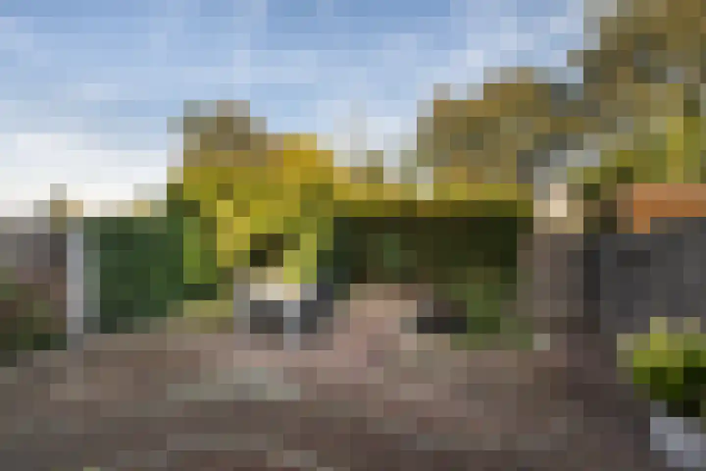 Burgemeester van Berchemstraat 3 Tholen thumbnail 43