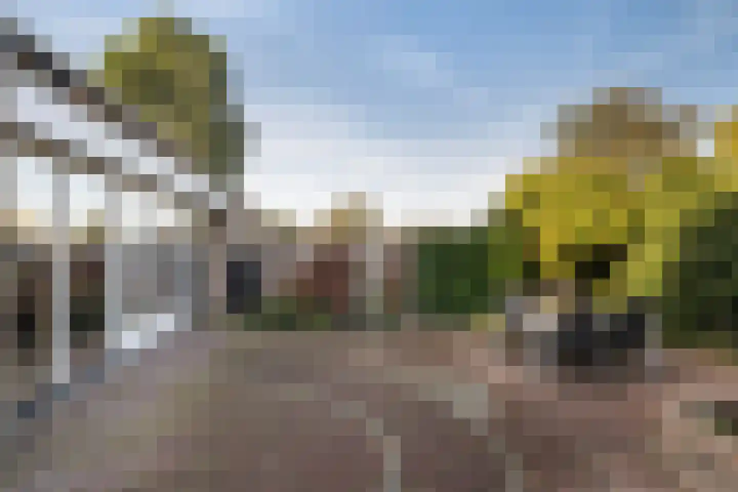 Burgemeester van Berchemstraat 3 Tholen thumbnail 44