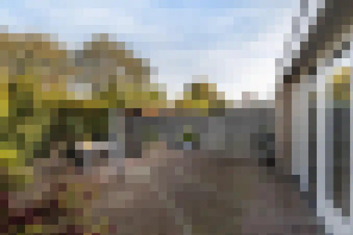 Burgemeester van Berchemstraat 3 Tholen thumbnail 45