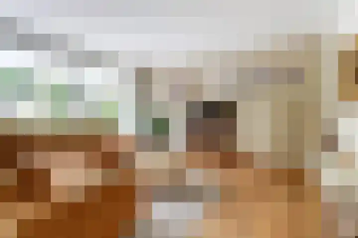 Burgemeester van Besouwlaan 1 Kaatsheuvel thumbnail 10