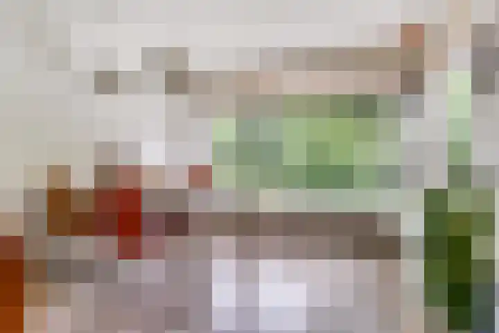 Burgemeester van Besouwlaan 1 Kaatsheuvel thumbnail 17