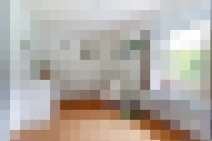 Burgemeester van Besouwlaan 1 Kaatsheuvel thumbnail 26