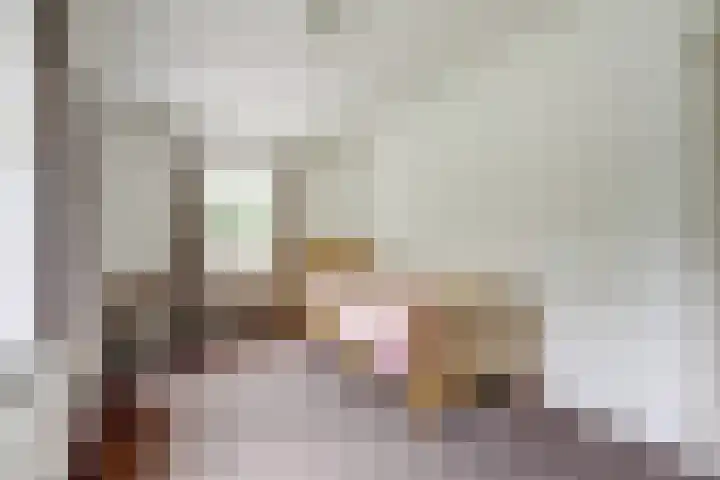 Burgemeester van Besouwlaan 1 Kaatsheuvel thumbnail 28