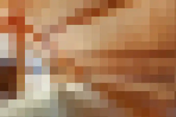 Burgemeester van Besouwlaan 1 Kaatsheuvel thumbnail 35