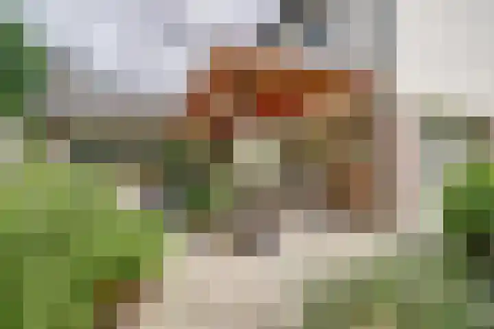 Burgemeester van Besouwlaan 1 Kaatsheuvel thumbnail 37