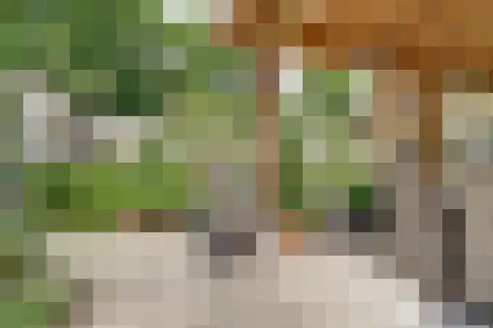 Burgemeester van Besouwlaan 1 Kaatsheuvel thumbnail 38