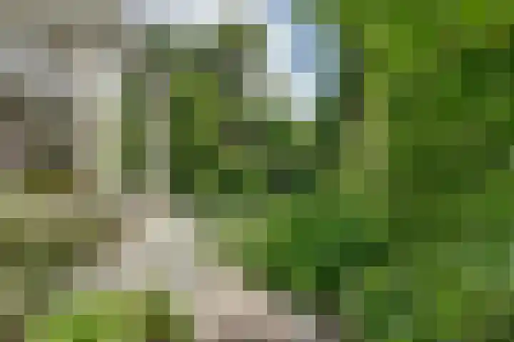 Burgemeester van Besouwlaan 1 Kaatsheuvel thumbnail 41