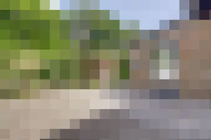 Burgemeester van Besouwlaan 1 Kaatsheuvel thumbnail 43