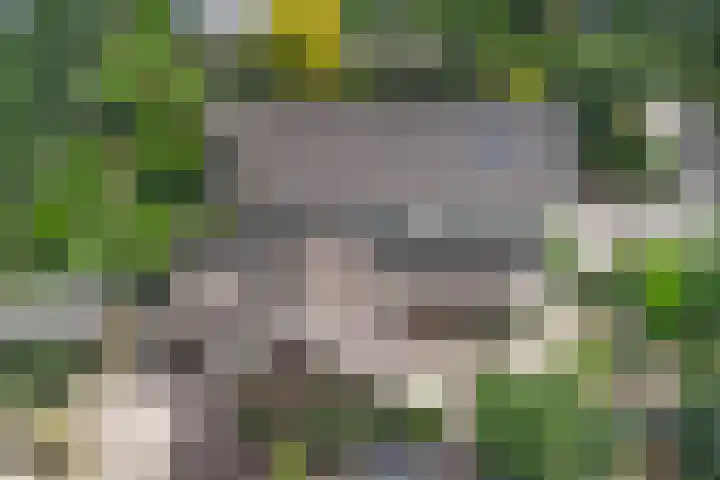 Burgemeester van Besouwlaan 1 Kaatsheuvel thumbnail 47