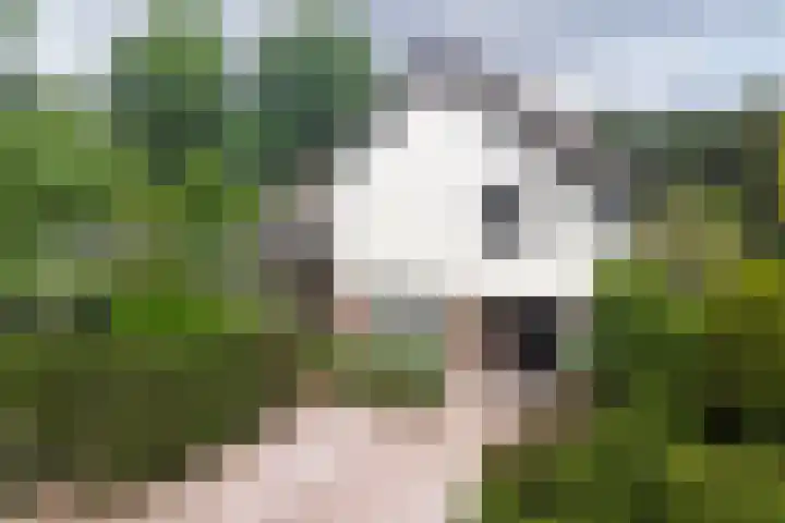 Burgemeester van Besouwlaan 1 Kaatsheuvel thumbnail 49