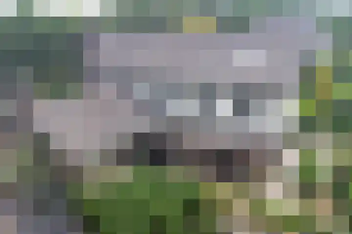 Burgemeester van Besouwlaan 1 Kaatsheuvel thumbnail 5