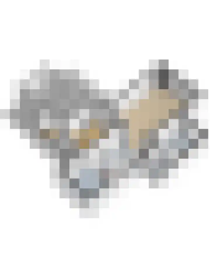 Burgemeester van Besouwlaan 1 Kaatsheuvel thumbnail 57