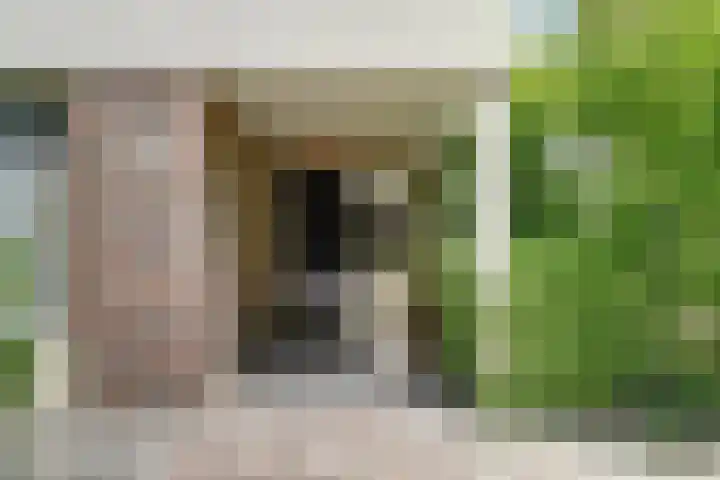 Burgemeester van Besouwlaan 1 Kaatsheuvel thumbnail 6