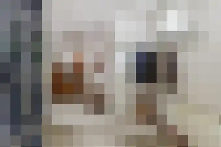 Burgemeester van Besouwlaan 1 Kaatsheuvel thumbnail 7