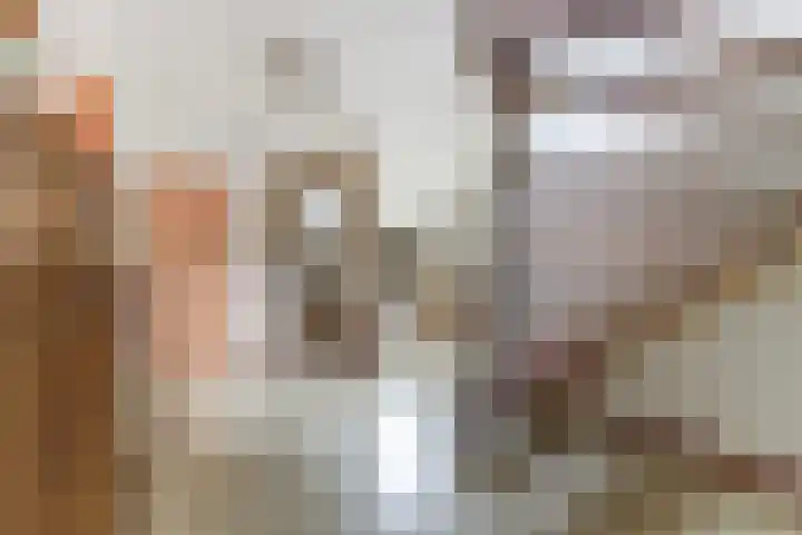 Burgemeester van Besouwlaan 1 Kaatsheuvel thumbnail 8