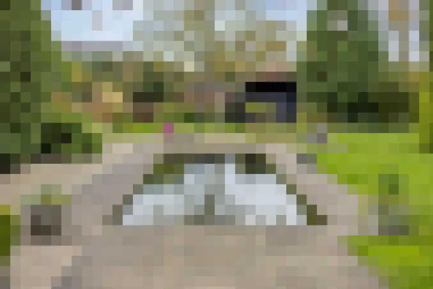 Burgemeester van Campenhoutstraat 13 Made thumbnail 43