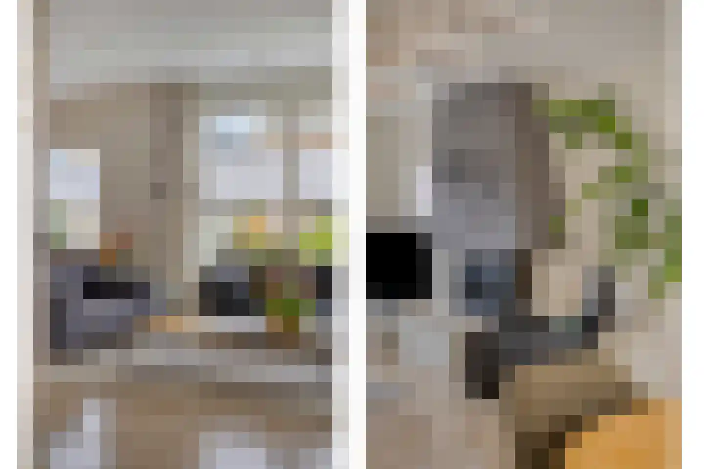 Burgemeester van Campenhoutstraat 13 Made thumbnail 9