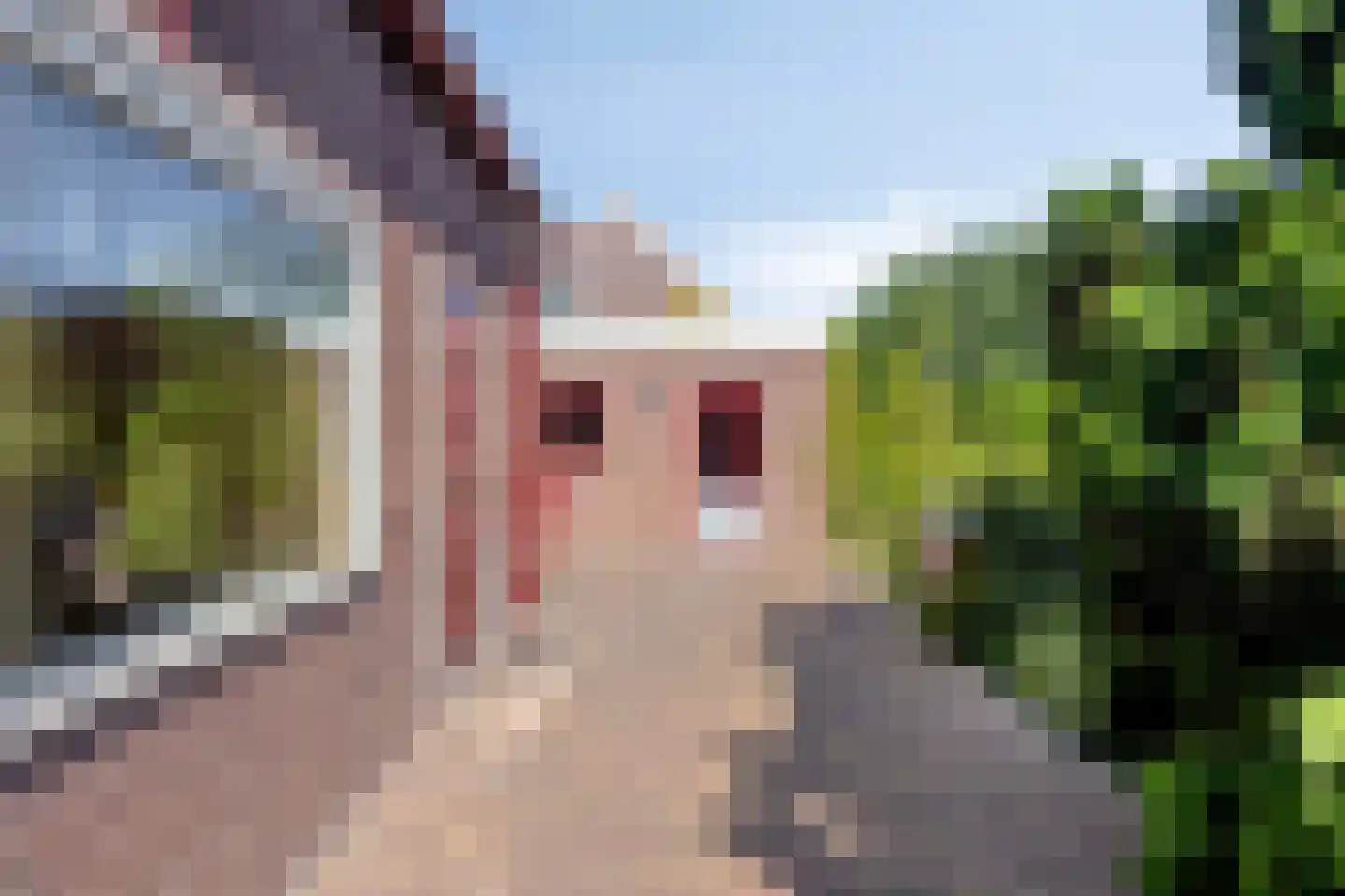 Burgemeester van Campenhoutstraat 16 Made thumbnail 28