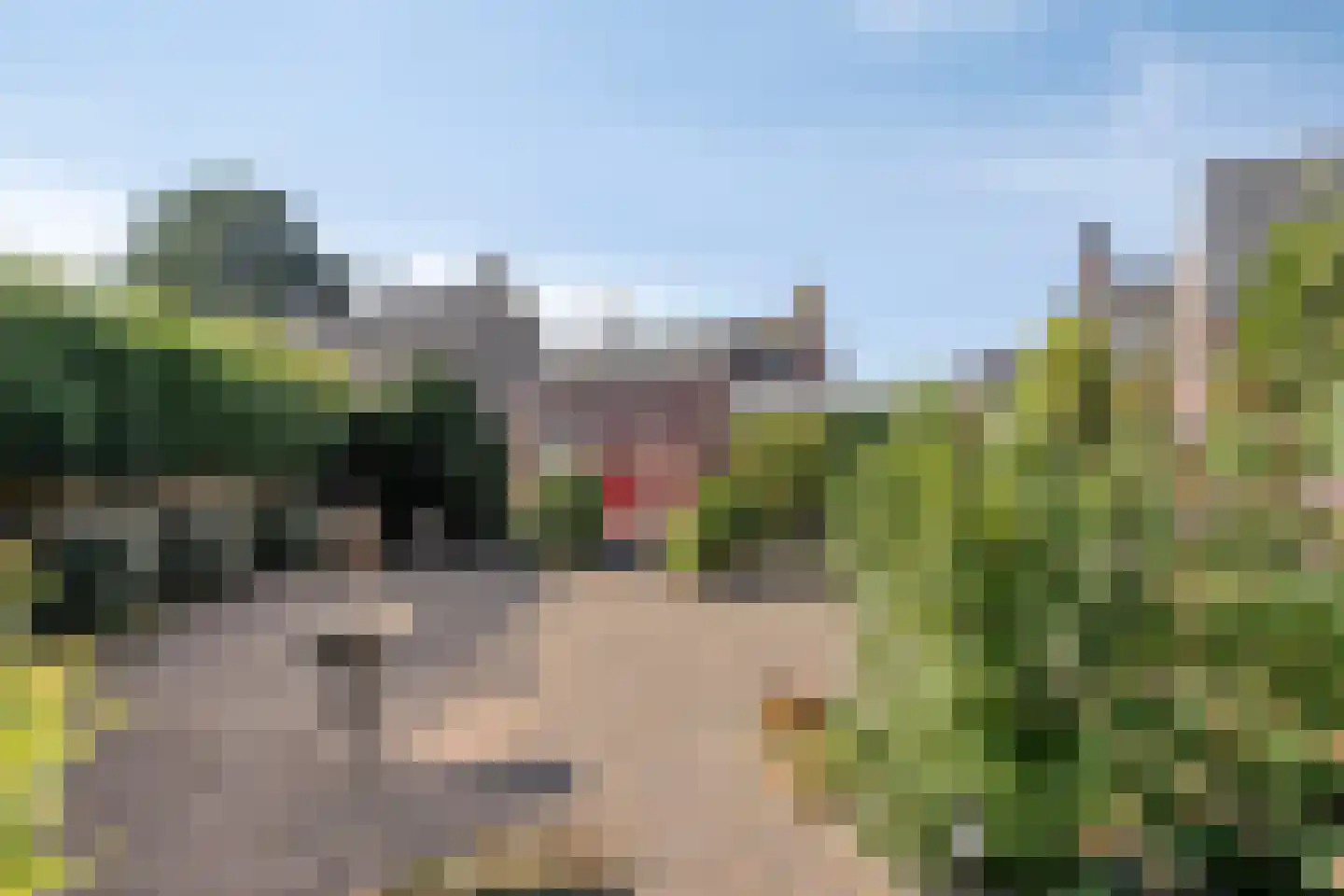 Burgemeester van Campenhoutstraat 16 Made thumbnail 31