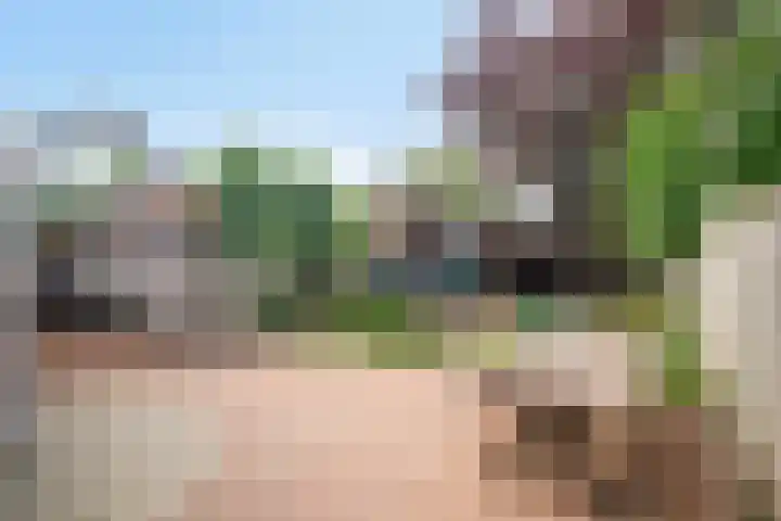 Burgemeester van Campenhoutstraat 8 Made thumbnail 10